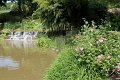 (43) 2010 Parc floral Apremont sur Allier